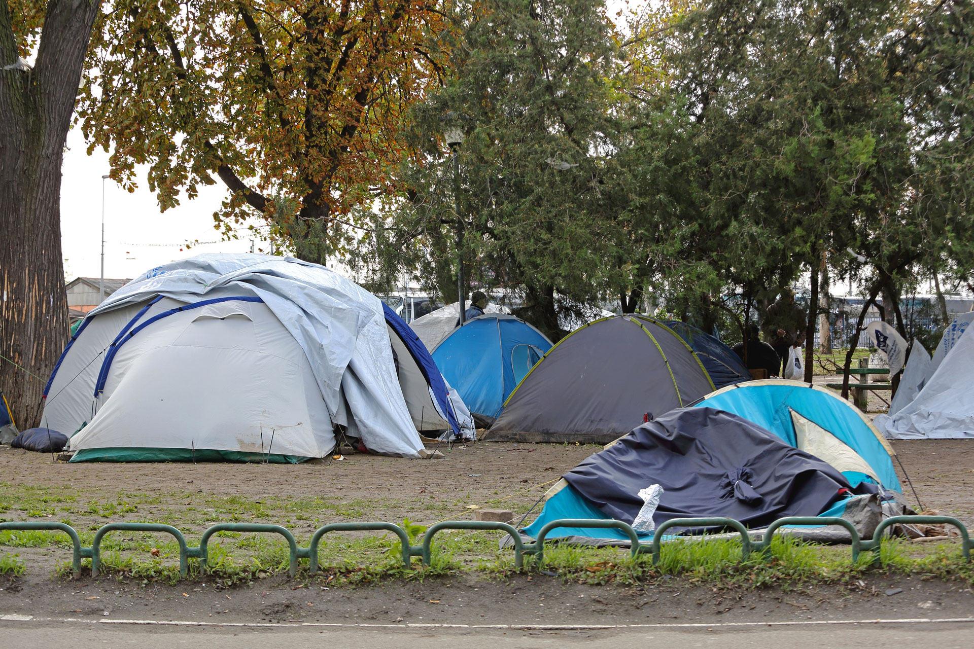 Yosemite National Park